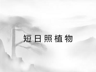 短日照植物
