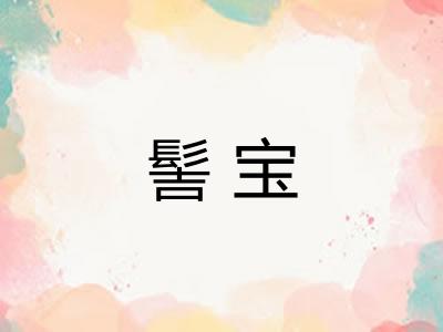 髻宝 髻宝