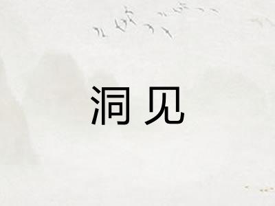 洞见