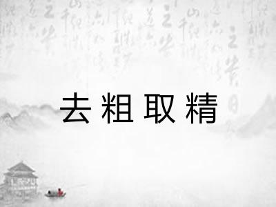 去粗取精