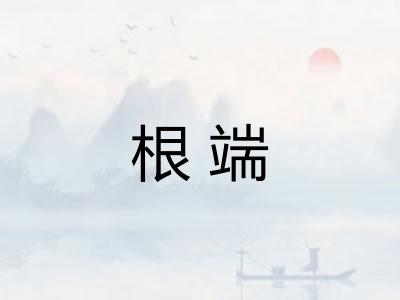 根端