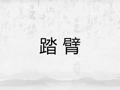踏臂