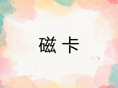 磁卡 磁卡