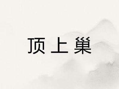 顶上巢