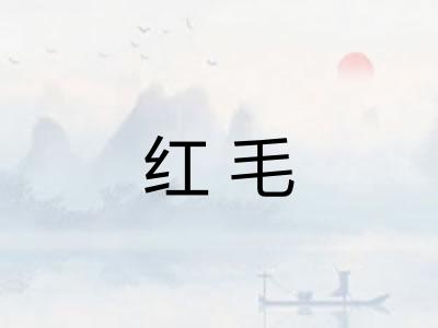 红毛 红毛