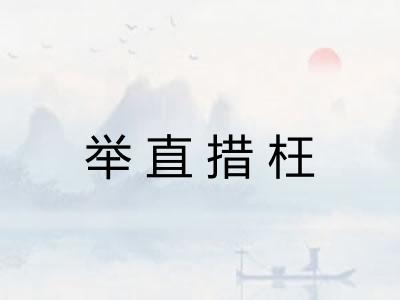 举直措枉