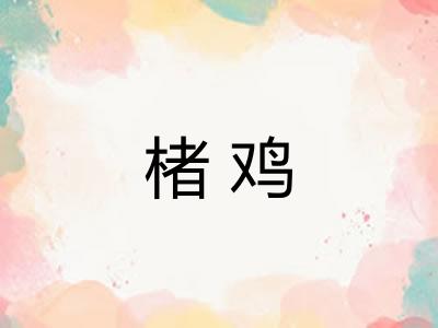 楮鸡