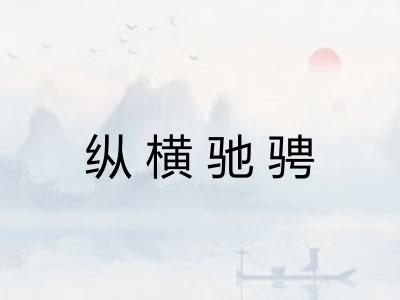 纵横驰骋