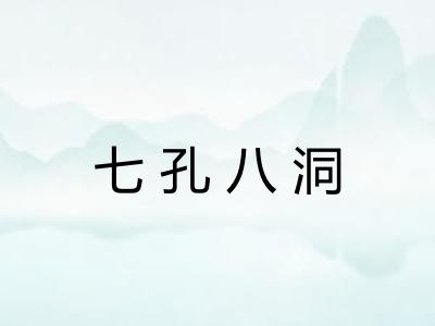 七孔八洞