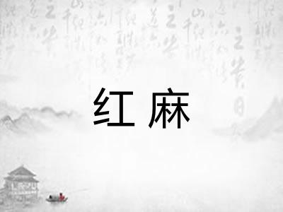 红麻 红麻