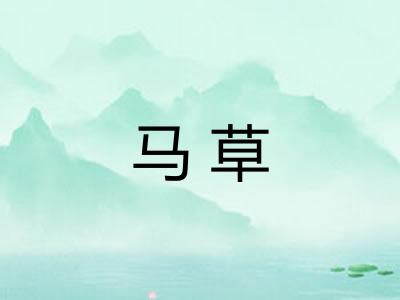 马草 马草