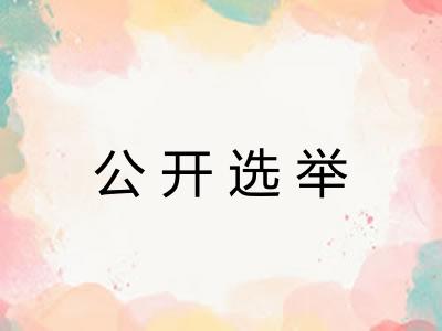 公开选举 公开选举