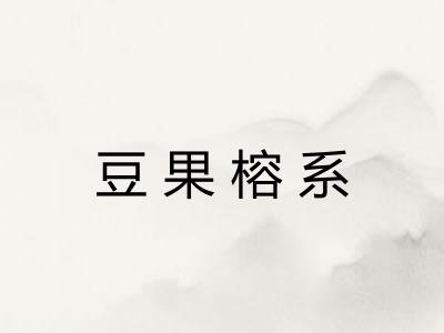 豆果榕系