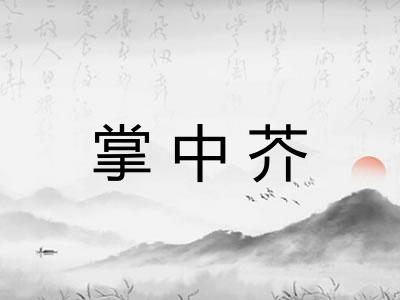 掌中芥