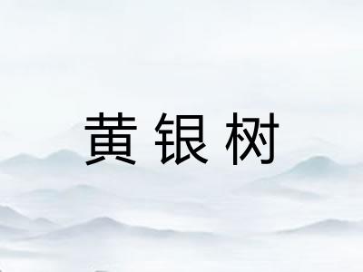黄银树