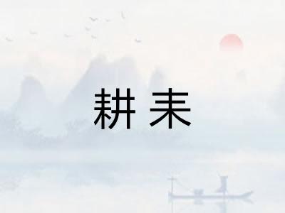 耕耒