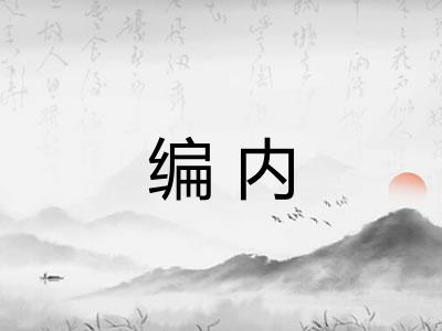 编内
