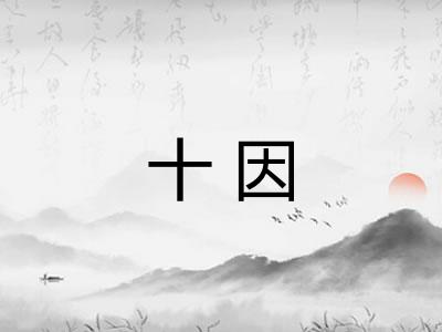 十因