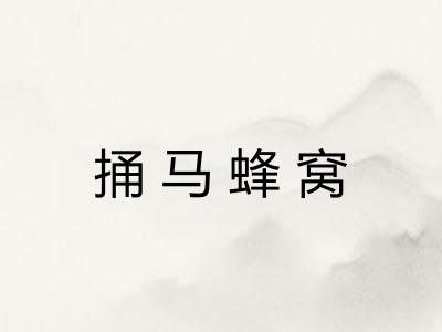 捅马蜂窝