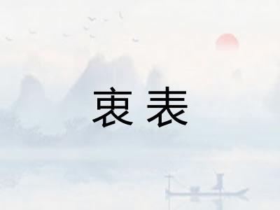 衷表