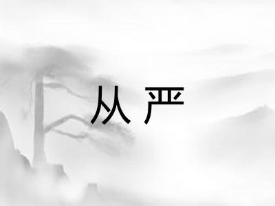 从严 从严