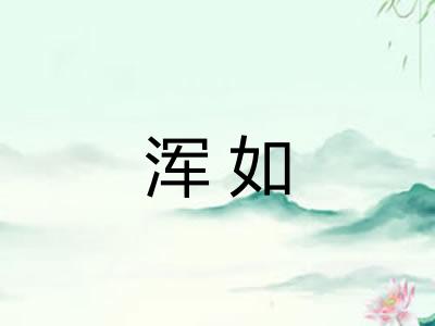 浑如