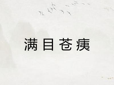满目苍痍