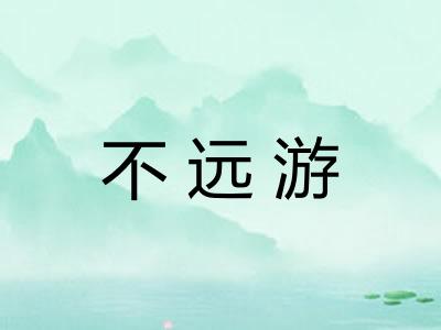 不远游