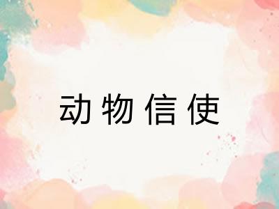 动物信使