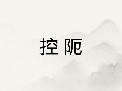 控阨