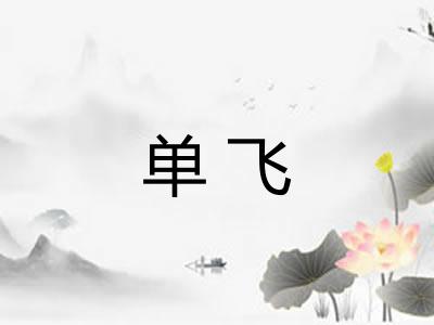 单飞