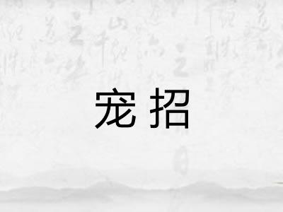 宠招 宠招