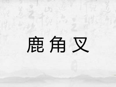 鹿角叉 鹿角叉