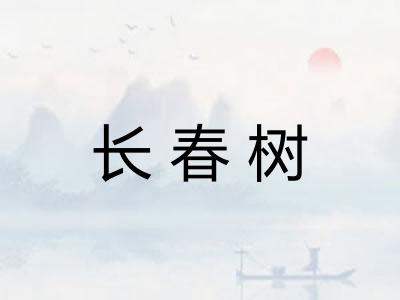 长春树