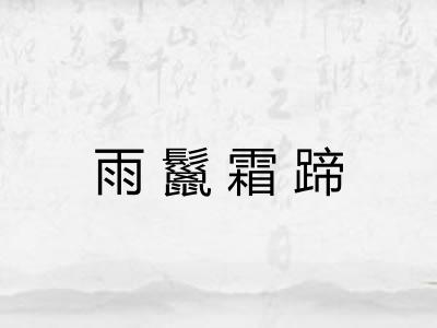 雨鬣霜蹄