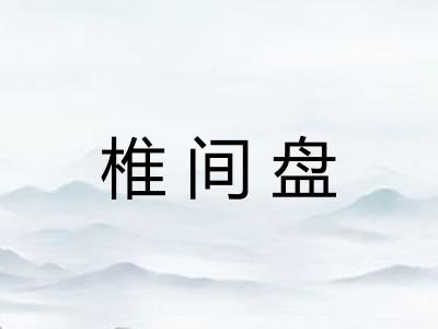 椎间盘