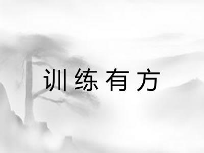 训练有方