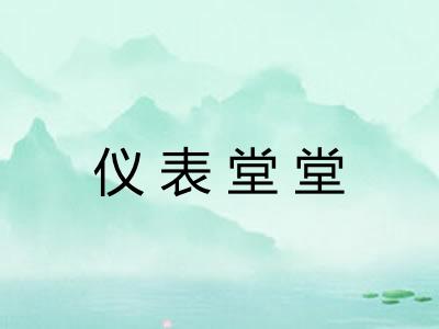 仪表堂堂