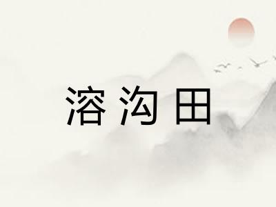 溶沟田
