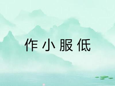 作小服低