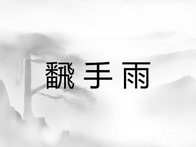 飜手雨