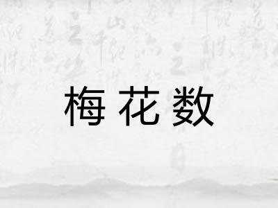 梅花数