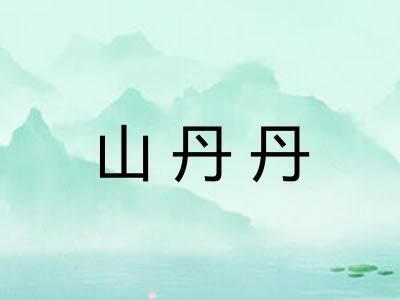 山丹丹