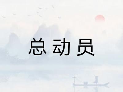 总动员