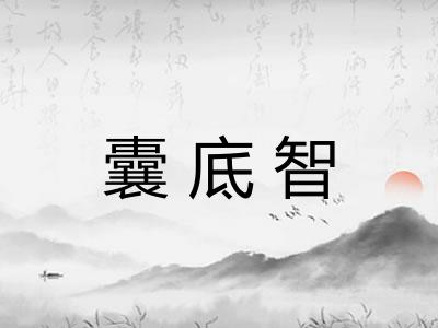囊底智