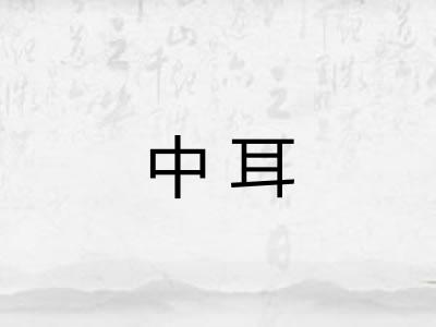 中耳 中耳