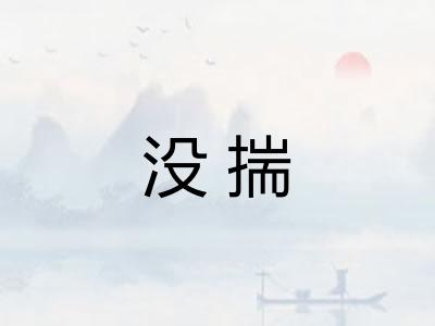 没揣