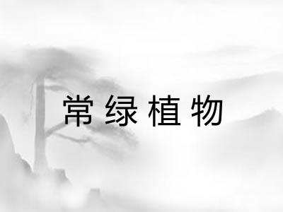 常绿植物