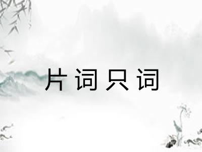 片词只词