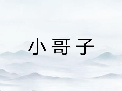 小哥子 小哥子